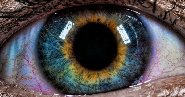 Pessoas de olhos violeta ou com duas cores diferentes