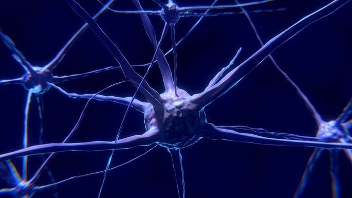 neurônio